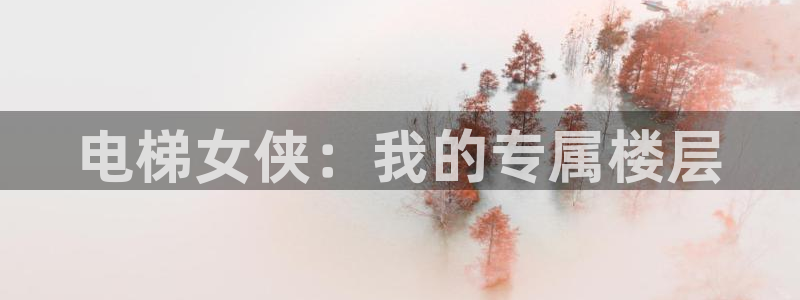 动漫屋app：电梯女侠：我的专属楼层
